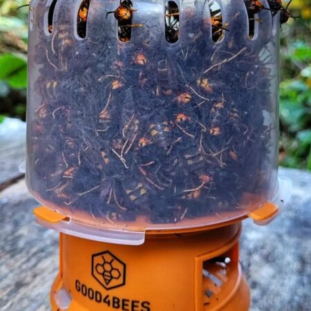 Good4Bees selectieve val